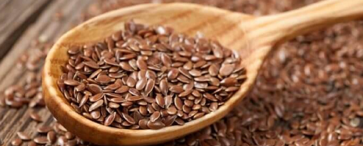 What is Flaxseed (Linseed)? – My Favourite Pastime