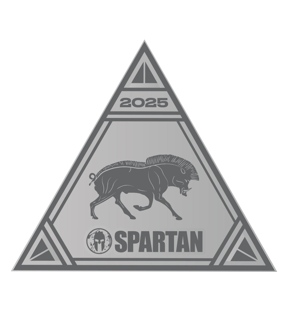 SPARTAN 2025 Stadion Delta Icon